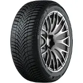 Giti Winter W2