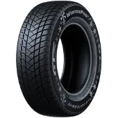 GT Radial WinterPro2