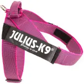 Idc Julius K9 Idc Norwegian Hundeseletøj