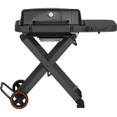 Mustang Folding Gas Grill