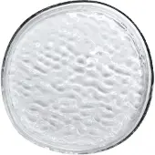 Cooee Design Gry platter dekorationsbakke Ø28 cm Clear