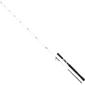 Daiwa Saltist Off Shore Jigging Stang