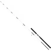 Daiwa Saltist Off Shore Spinnestang