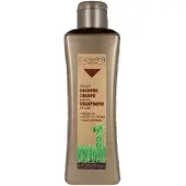 Salerm Cosmetics Biokera Arganology Shampoo 300ml