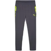 Puma Træningsbukser IndividualCUP - Grå/Lime grøn, størrelse Medium