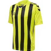 Hummel Core Xk Striped T-shirt Med Korte ærmer