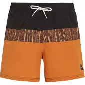 O'Neill Cali Block 15´´ Badeshorts