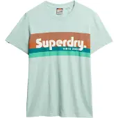 Superdry Superdrytil mænd. M1012137B Terrain Logo Stripe Relaxed T-shirt grøn (S), Casual, Bomuld, Korte ærmer, Turkis