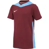 Nike Funktionsskjorte himmelblå / carminrød / hvid