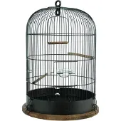 Zolux RETRO BUR LISETTE FUGL DIAMANT35