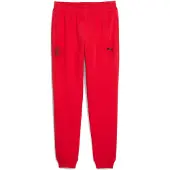 Puma AC Milan FtblEssentials Pants Men, Sport, Red/Black, 3XL