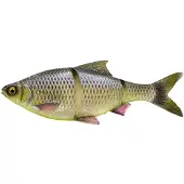 Savage Gear 3d Lt Roach Glidebait 420g 320 Mm