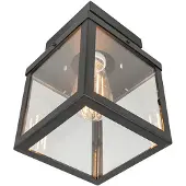 QAZQA Industriel udendørs loftslampe sort 1-lys - Rotterdam