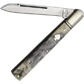 Rough Ryder Black Apaloosa Barehead Doctor