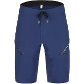 Q36.5 Adventure Shorts