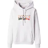 Levi's Graphic Everyday Hættetrøje