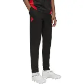 Puma AC Milan Training Pants Youth, Clothing, Black/Red, 15-16Y
