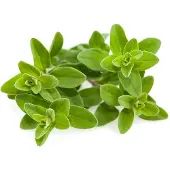 Click and Grow Click & Grow Smart Garden refill Marjoram 3pcs