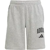 Adidas Seasonals Essentials Collegiate Typography Shorts