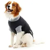 Buster Bodysuit - L