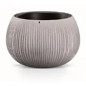 Prosperplast Beton Dekorativ Skål 21.8x37x37 Cm
