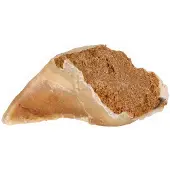 Trixie Tyggehov 115 G 25 Enheder
