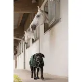 Diego & Louna Teddy Nylon Hundejakke