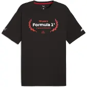 Puma F1 Essentials Graphic Tee Men, Clothing, Black, L