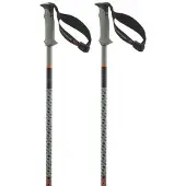 Salomon Polar Pro S3 Spadserestokke