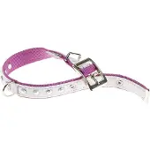 Ferplast Dual 25 Mm 45 Cm Hundehalsbånd