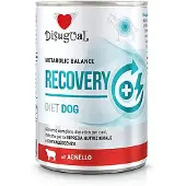 Disugual Recovery Diet Lam 6x400g Våd Hundefoder