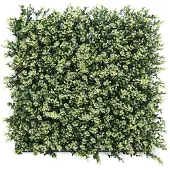 Wellhome Kunstigt Vertikalt Hækpanel 100x100 Cm