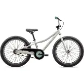 Specialized Riprock Coaster 20´´ Cykel
