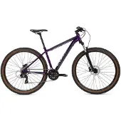 Coluer Ascent 293 29´´ Altus 2025 Mtb Cykel