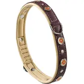 Ferplast Circus 25 Mm 51-49 Cm Hundehalsbånd