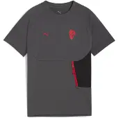 Puma AC Milan PUMATECH Pocket Tee Youth, Clothing, Shadow Gray/Red, 5-6Y