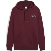 Puma Class Graphic Hættetrøje