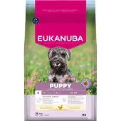 Eukanuba Puppy Small Breed Kylling hundefoder