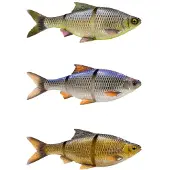Savage Gear 3d Lt Roach Swimbait 216g 250 Mm