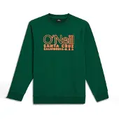 O'Neill Sweatshirt grøn / orange