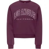 ONLY GIRLS Sweatshirt bær / hvid