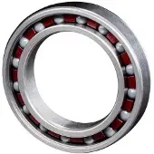 Zipp 61803 Ceramic Lejer