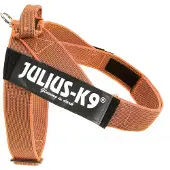 JULIUS K-9 Idc Norwegian Hundeseletøj