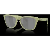 Oakley Frogskins Polariserede Solbriller