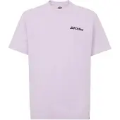 Dickies Statesville T-shirt Med Korte ærmer