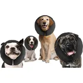 SmartaSaker Pro Collar - M