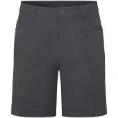 Montane Genoa Lite Shorts, herre, grå