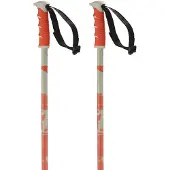 Salomon Steep Spadserestokke
