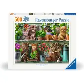 Ravensburger Puslespil - 500 Brikker - Cats On The Shelf - - OneSize - Puslespil