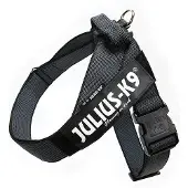 JULIUS K-9 Idc Mini Norwegian Hundeseletøj